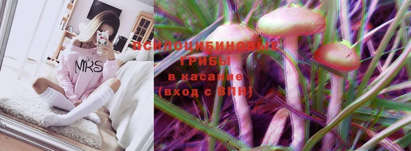 шишки Красноперекопск