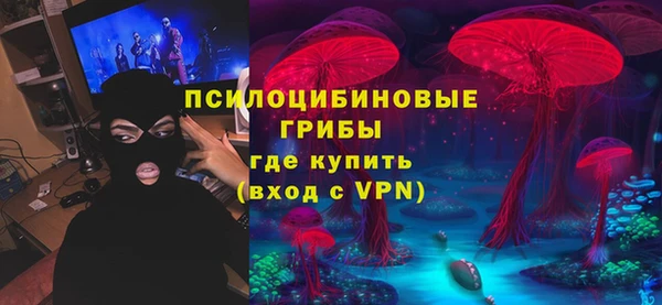 ПСИЛОЦИБИНОВЫЕ ГРИБЫ Краснослободск
