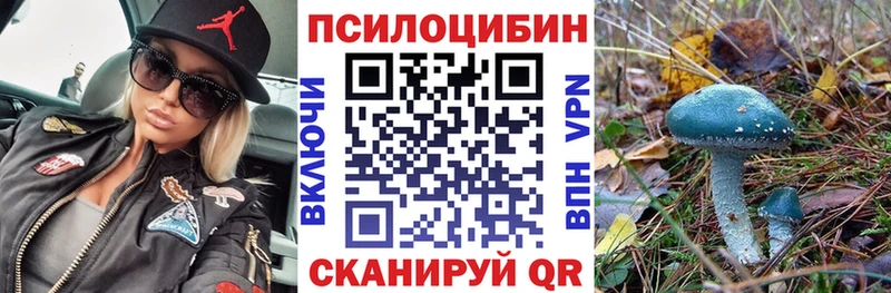 Псилоцибиновые грибы прущие грибы  дарнет шоп  блэк спрут рабочий сайт  Щёлкино 